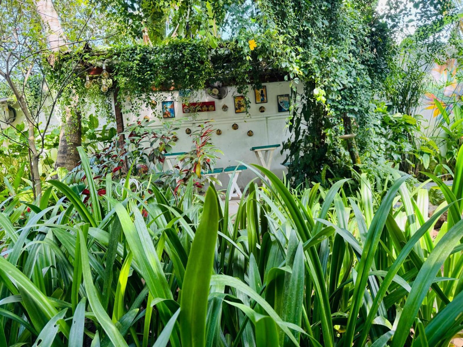 Double Mango Villa Катунаяка Экстерьер фото